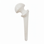 Antibiotic Hip Spacer, Total hip arthroplasty, Hip replacement, arthroplasty implants