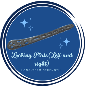 Locking Plate